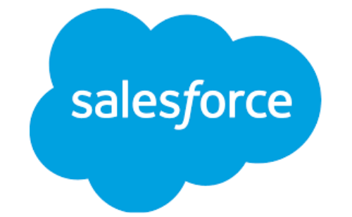 SALEFORCE DEVELOPMENT SERVICES